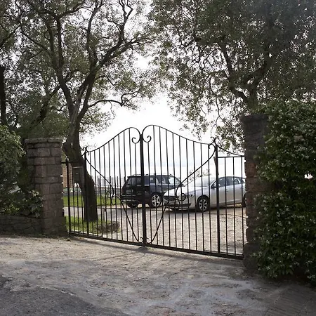 Paola Torri Del Benaco